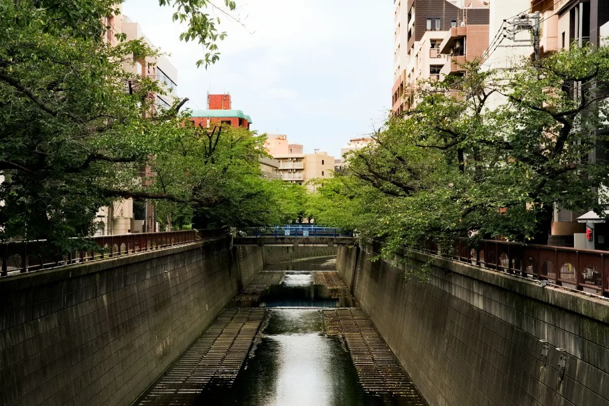 中目黒・池尻大橋エリアの目黒川沿い